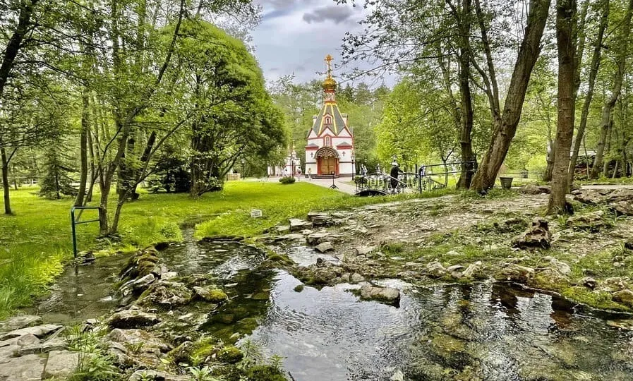 Машина на дороге в Подмосковье, вид на лес