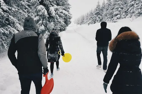 Компания друзей гуляет зимой в Подмосковье на каникулах