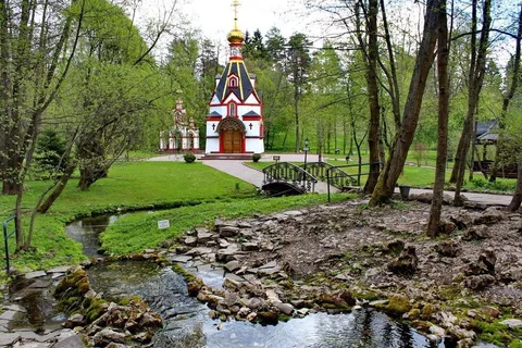 Дорога через лес в Подмосковье — маршрут на один день