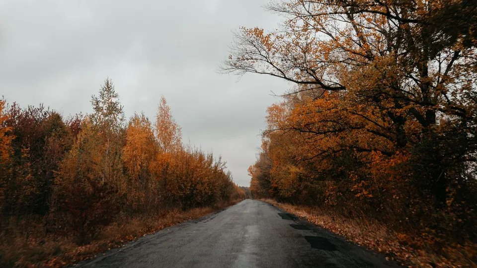 Свободная загородная дорога среди осеннего леса
