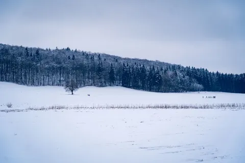 Компания в загородном доме готовится к новогоднему корпоративу