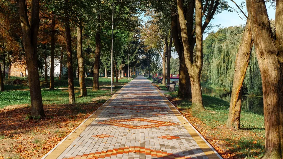 Осенний школьный двор с деревьями у окна класса