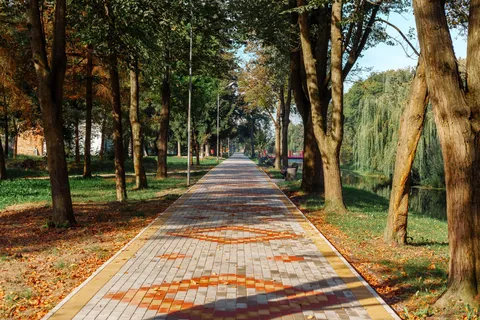 Осенний школьный двор с деревьями у окна класса
