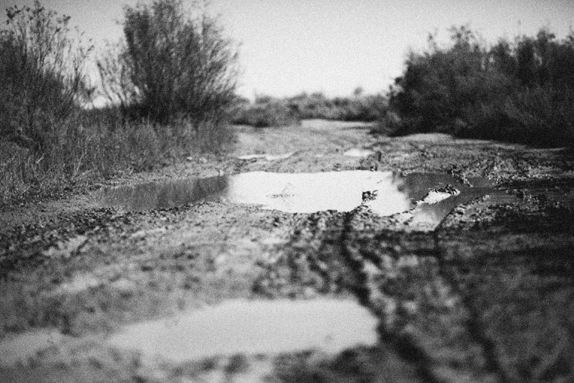 Колея с водой на лесной дороге